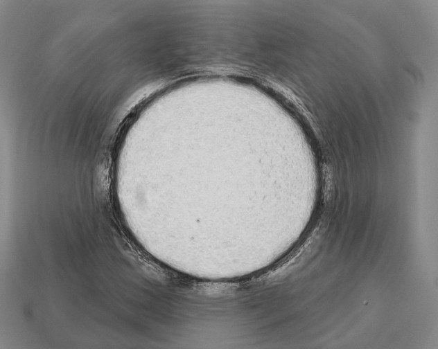 X0000112521163200909281011