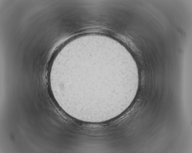 X0000112521164200909281011