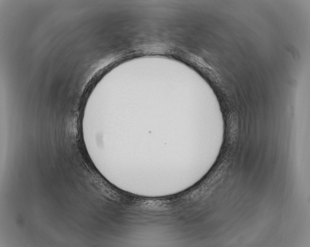 X0000112521166200909281011