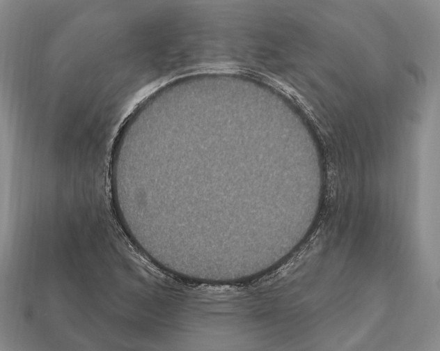 X0000112521168200909281011