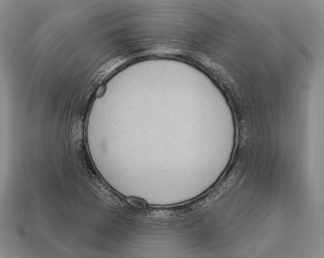 X0000112521169200909281011