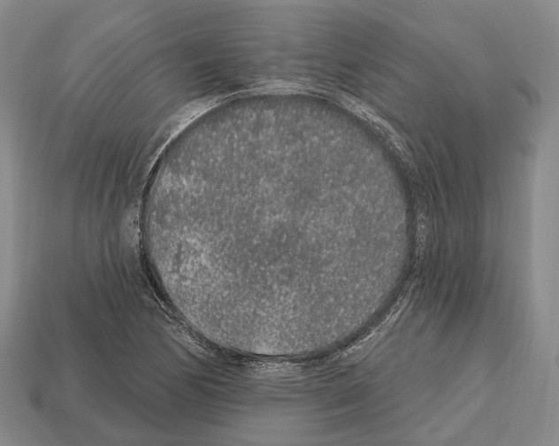 X0000112521170200909281011
