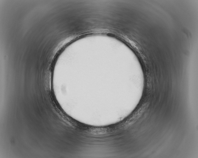 X0000112521171200909281011