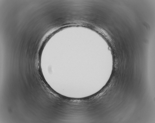X0000112521172200909281011