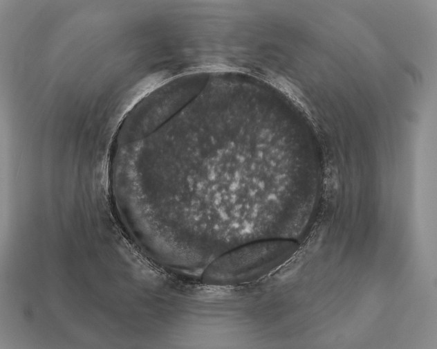 X0000112521173200909281011