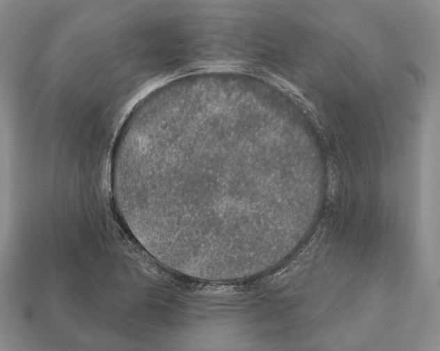 X0000112521174200909281011