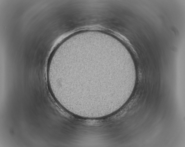 X0000112521176200909281011