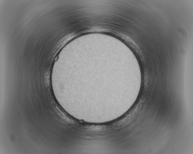 X0000112521177200909281011