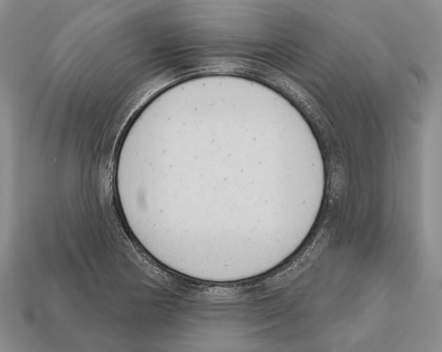 X0000112521178200909281011