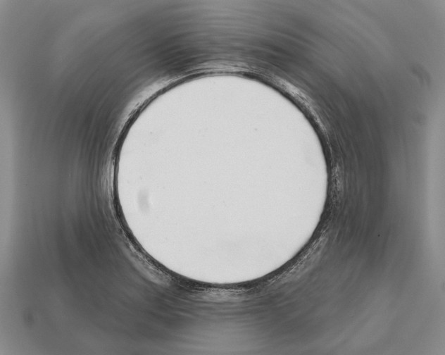 X0000112521179200909281011