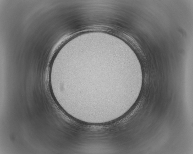 X0000112521180200909281011