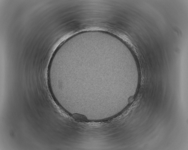 X0000112521181200909281010