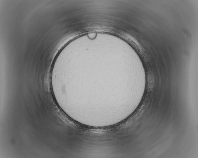 X0000112521182200909281010