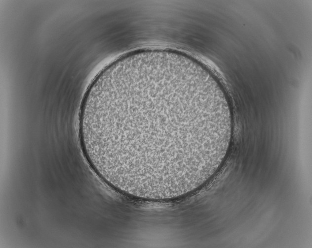X0000112521183200909281010
