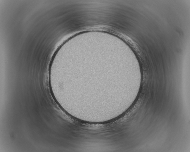 X0000112521184200909281010