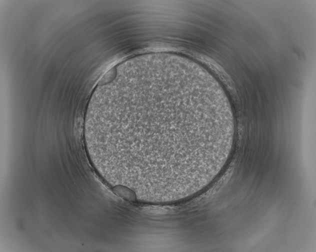 X0000112521185200909281010