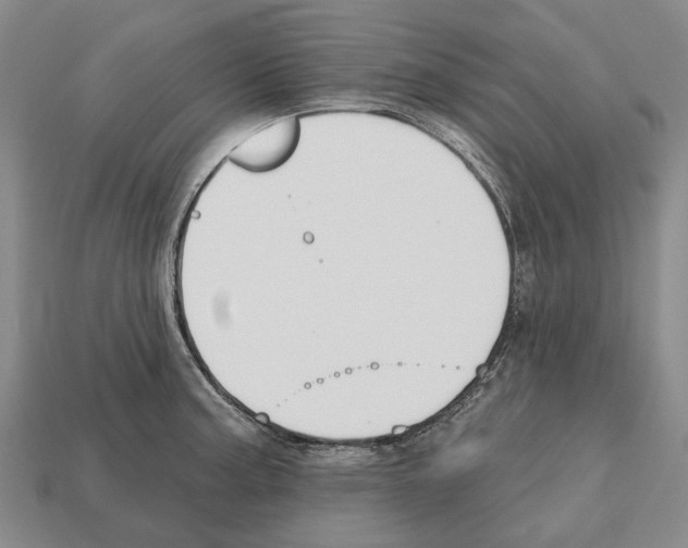 X0000112521187200909281010