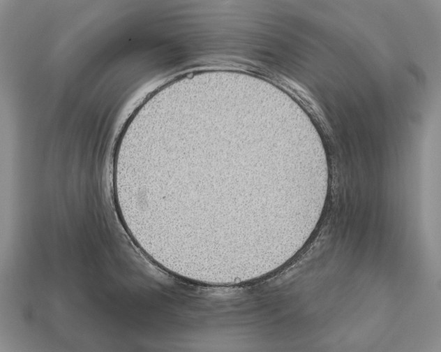 X0000112521188200909281010
