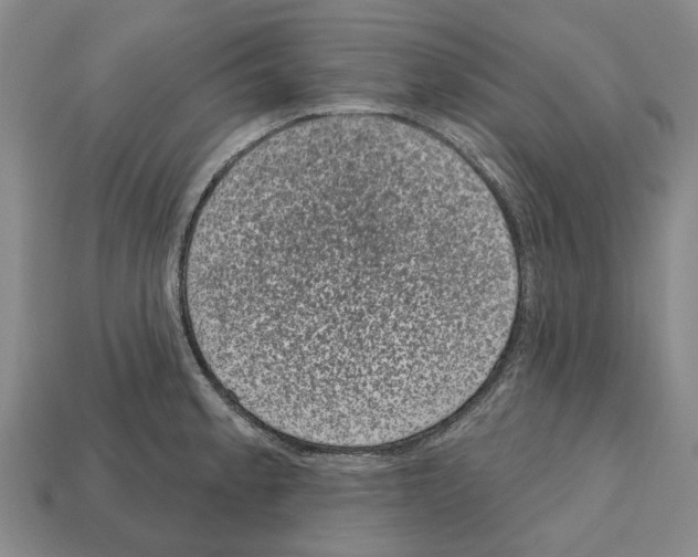 X0000112521189200909281010