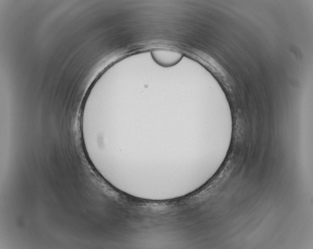 X0000112521190200909281010