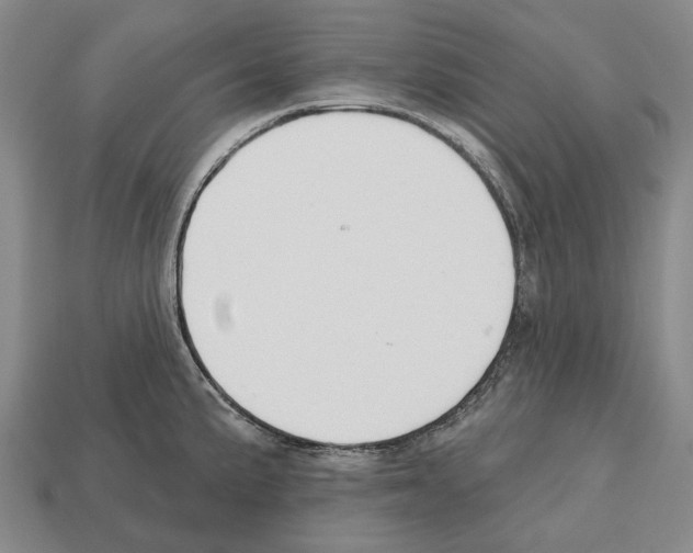 X0000112521191200909281010