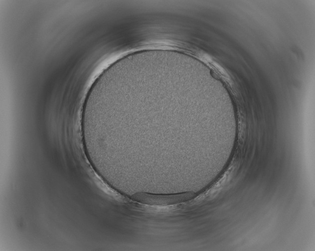 X0000112521192200909281010