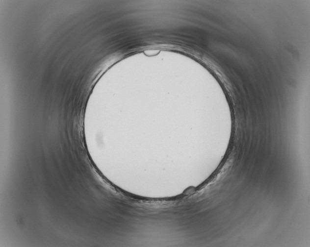 X0000112521193200909281010