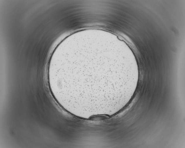 X0000112521196200909281010
