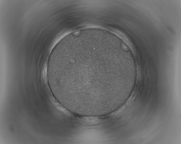 X0000112521198200909281010