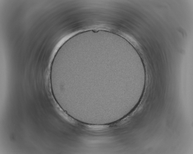 X0000112521200200909281010