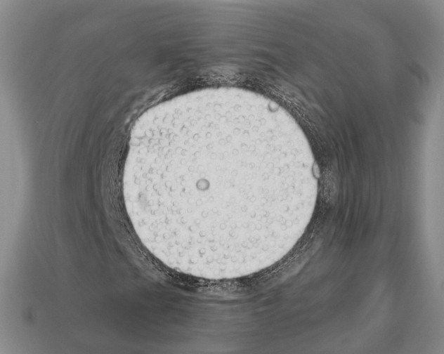 X0000112521201200909281010