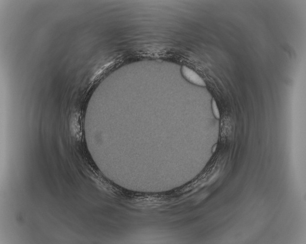 X0000112521202200909281010