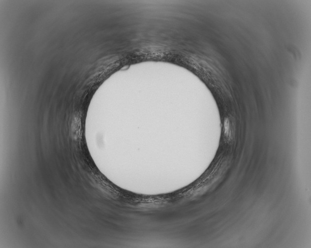 X0000112521203200909281010
