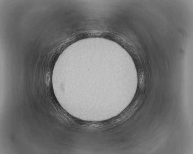 X0000112521204200909281010