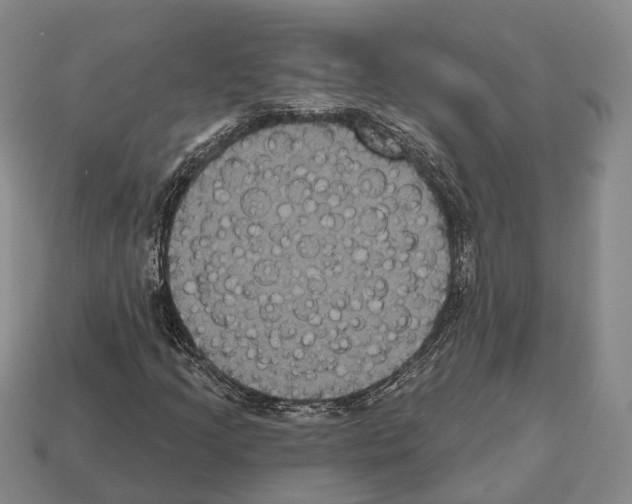 X0000112521205200909281010