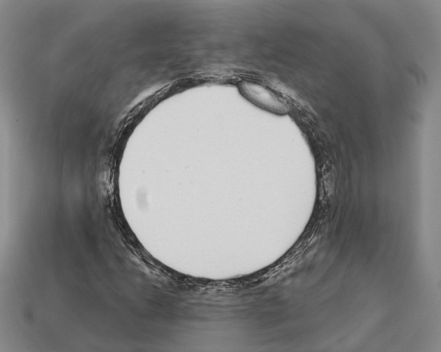 X0000112521206200909281010