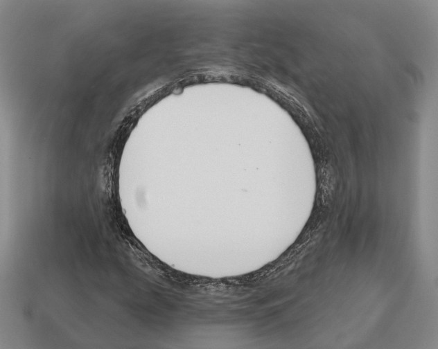 X0000112521207200909281010