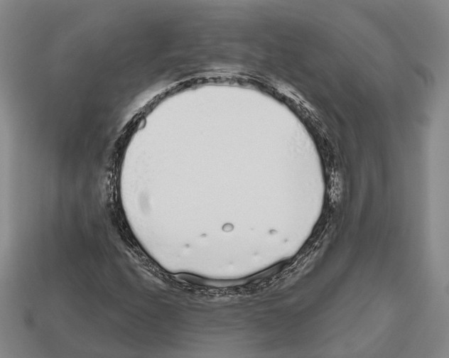 X0000112521208200909281010