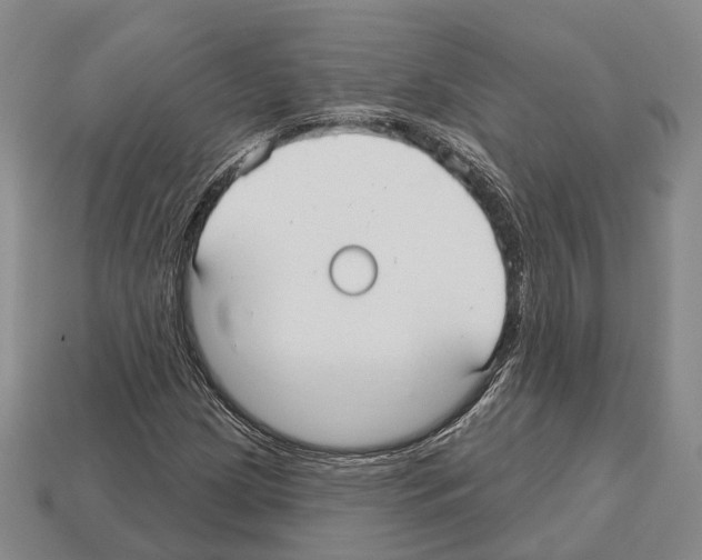 X0000112521209200909281010