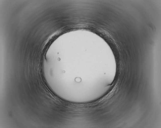 X0000112521210200909281010