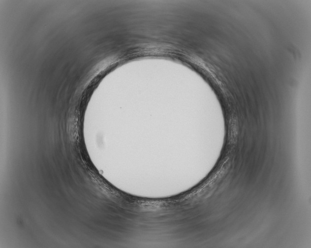 X0000112521211200909281010