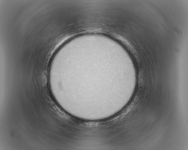 X0000112521212200909281010