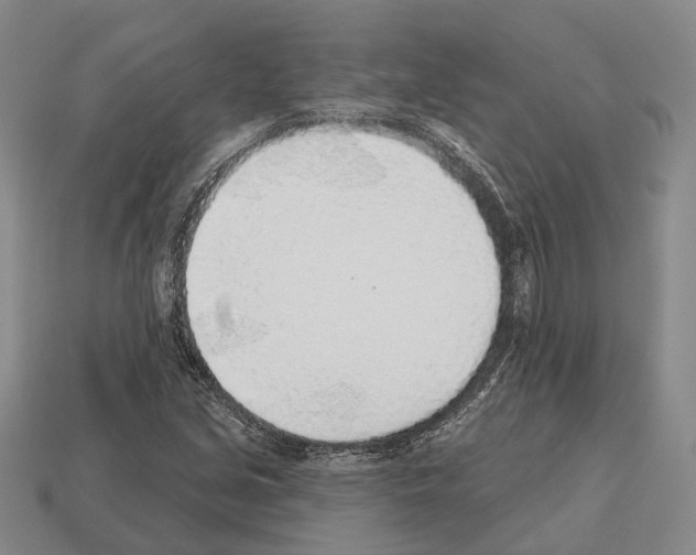 X0000112521213200909281010