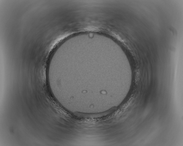X0000112521214200909281010