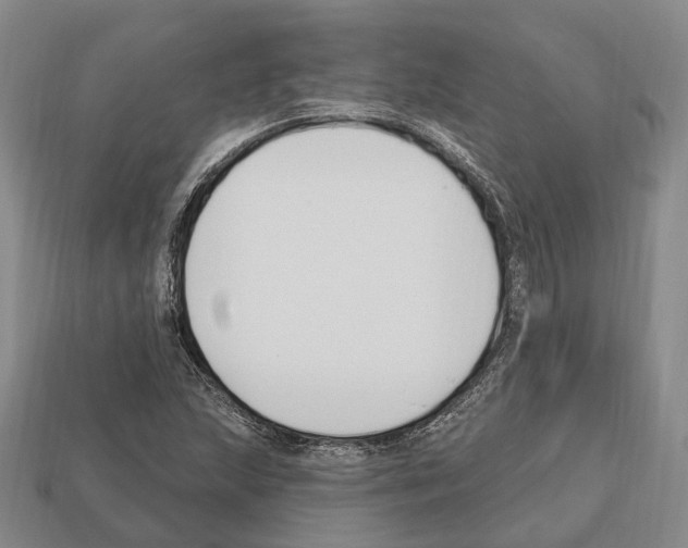X0000112521215200909281010