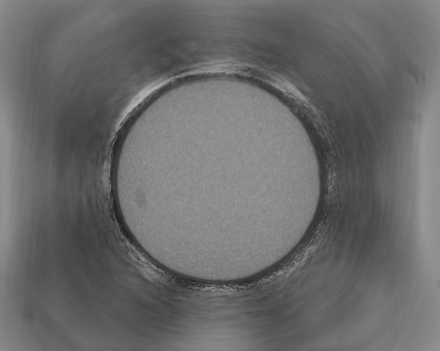 X0000112521216200909281010