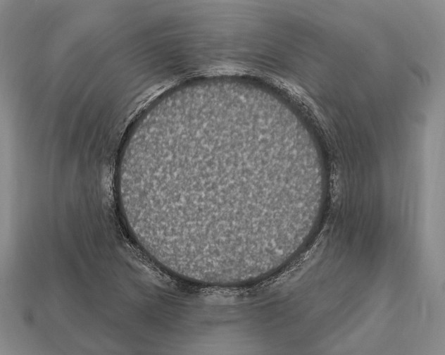 X0000112521217200909281010