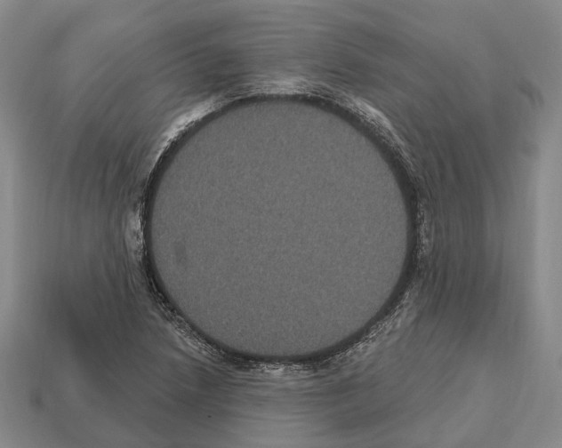 X0000112521218200909281010