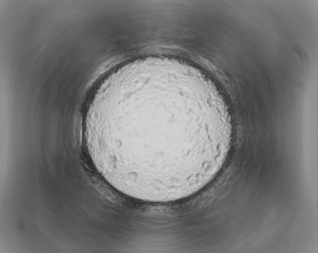 X0000112521219200909281010