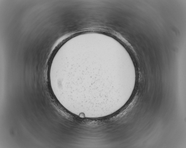 X0000112521222200909281010